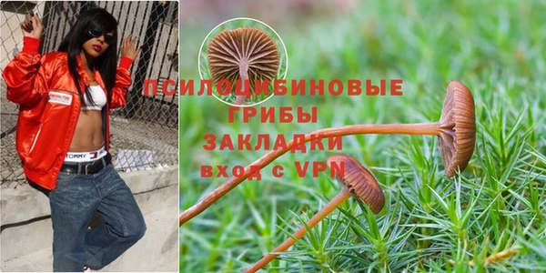 меф Балахна