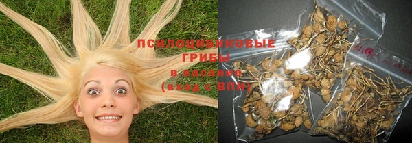 PSILOCYBIN Покачи