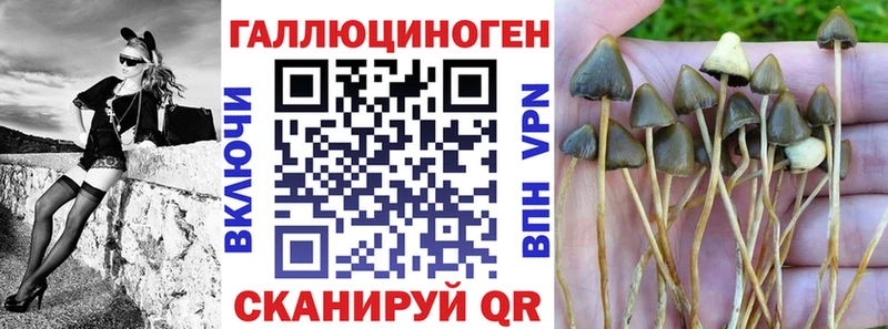 darknet наркотические препараты Гороховец Псилоцибиновые грибы мухоморы